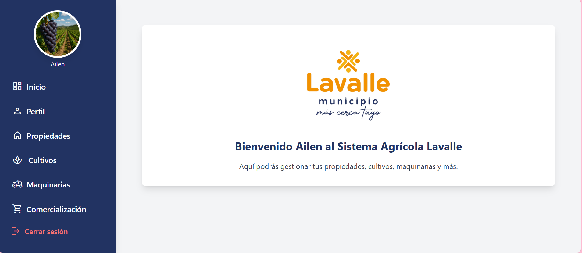 Ailen Ojeda - Software Developer Portfolio